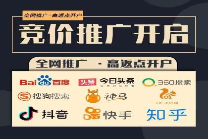 搜索引擎营销（SEM）成功案例详解